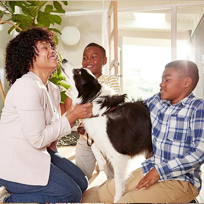Filtrete 16x24x1 Air Filter, MPR 300, MERV 5, Clean Living Basic Dust 3-Month - Image 9