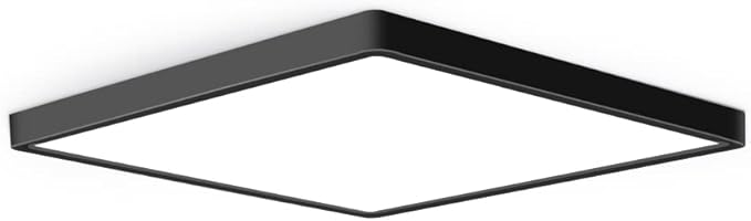 Ceiling Lights