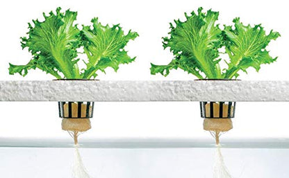4 Stage - Hydroponics Reverse Osmosis Water Filtration System | 100 GPD | Water - Image 5