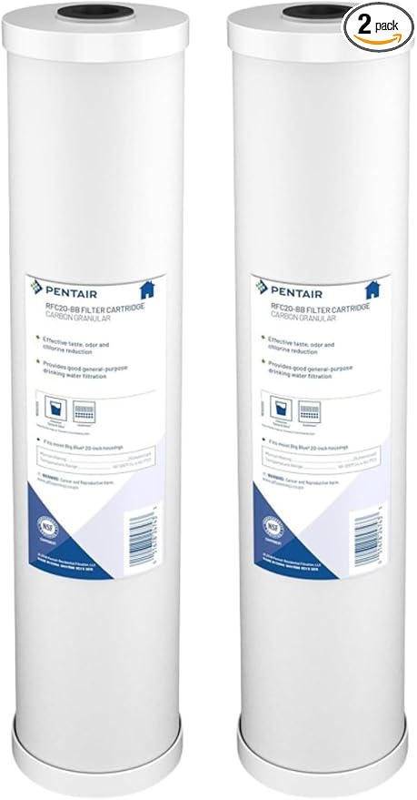 Pentair Pentek RFC-20BB Big Blue Carbon Water Filter, Whole House Heavy Duty by PENTAIRPENTEK