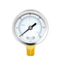 Joywayus Pressure Gauge 0 to 30 PSI Brass 1/4" Male NPT Thread Lower Mount by Joywayus