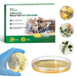 Mold Test Kit for Home by Accecraft