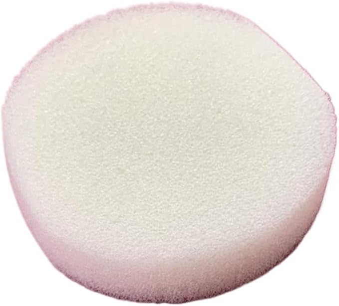 20 Pack Sponges for The 10inch Reusable Empty Clear housing by Unknown