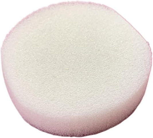 20 Pack Sponges for The 10inch Reusable Empty Clear housing by Unknown