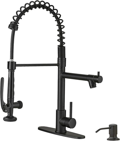 Fapully Commercial Pull Down Kitchen Sink Faucet by Fapully