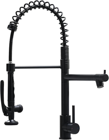 Fapully Black Kitchen Faucet, Commercial Pull Down Kitchen Sink Faucet by Fapully