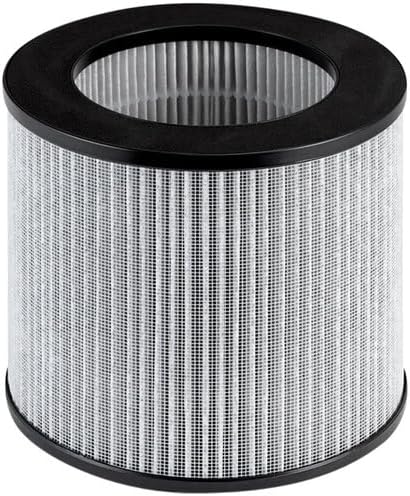 Bissell Replacement High Efficiency and Carbon Filter by BISSELL