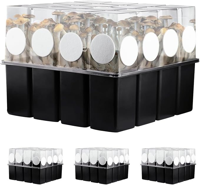 3 Set Mushroom Grow Kit Monotub by MOFOGDR