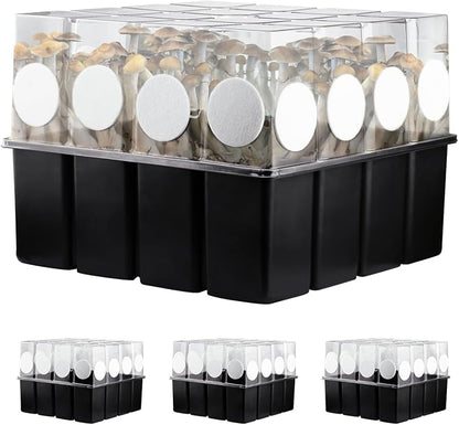 3 Set Mushroom Grow Kit Monotub by MOFOGDR