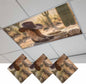 3 Pack Fluorescent Light Cover, Cowboy Western Light Covers by Unknown