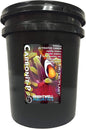 Brightwell Aquatics Carbonit-P by BrightwellAquatics