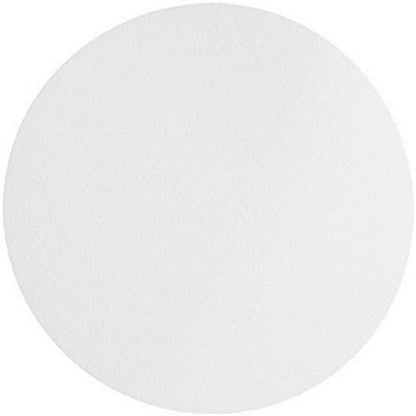 Omicron 170090X Nylon Membrane Circle, 0.45 Micron - Image 3