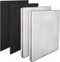 Vital 100-RF True HEPA Filter Set Compatible by LifeSupplyUSA