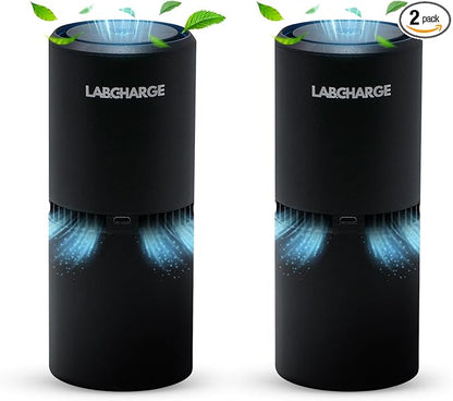 LabCharge Small Ionic Air Purifier by LabCharge
