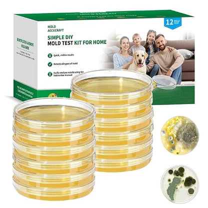 Mold Test Kit for Home -12 Simple Mold Test kit, Test HVAC System, Surfaces & by Accecraft