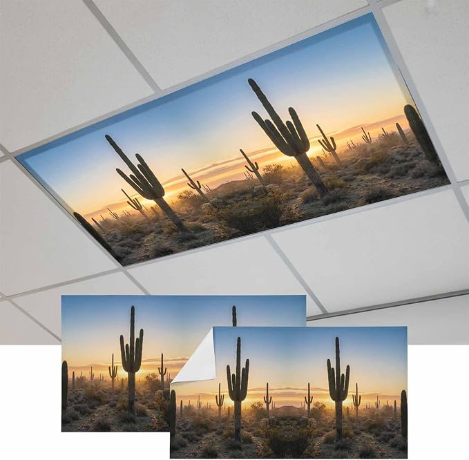 Fluorescent Light Covers for Drop Ceiling Desert Cactus Sunset Magnetic Light by Unknown