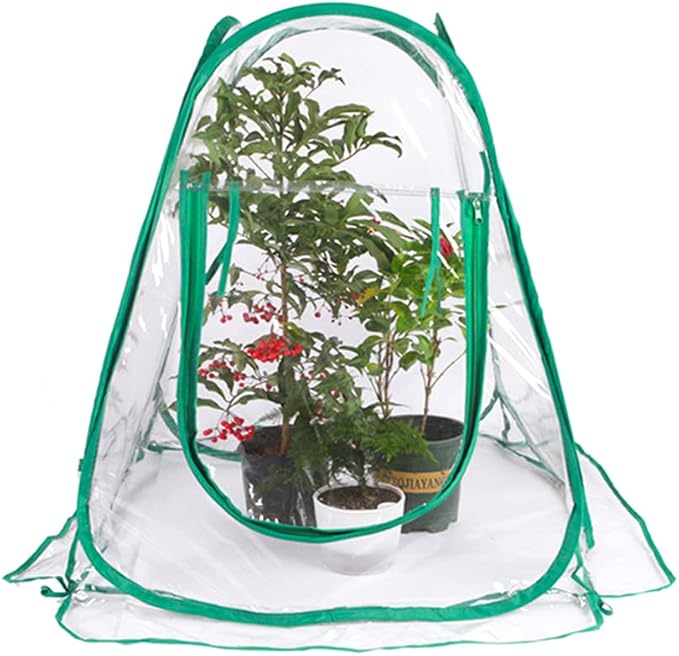 Pop Up Greenhouse Mini Plant Cover - Image 4