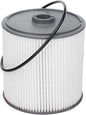 AULDAY Fuel Filter Fits for Ram 2500 3500 4500 5500 6.7L 2019 2020 2021 2022 by Unknown