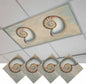 Fluorescent Light Covers for Ceiling Lights Shell Conch Magnetic Light Filters by Home+L6