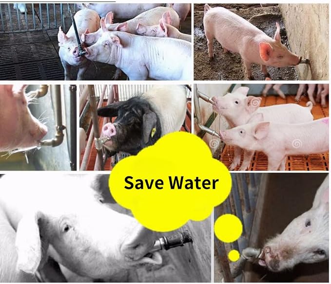 Automatic Pig Drinkers, 5 Pieces Thread Stainless Steel Automatic Pig Nipple - Image 4