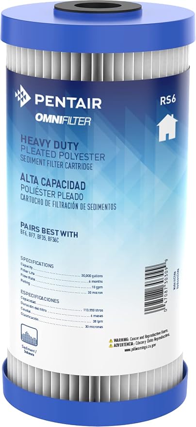Pentair OMNIFilter RS6 Sediment Water Filter, Whole House Heavy Duty Big Blue by PentairOmniFilter