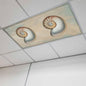 Fluorescent Light Covers for Ceiling Lights Shell Conch Magnetic Light Filters by Home+L6