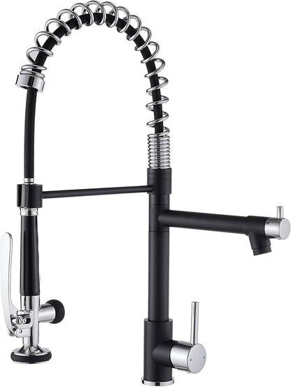 Fapully Kitchen Sink Faucet, Pull Down Kitchen Faucet, Single Handle Single by Fapully