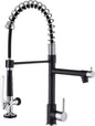 Fapully Kitchen Sink Faucet, Pull Down Kitchen Faucet, Single Handle Single by Fapully