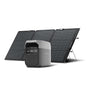 EF ECOFLOW Solar Generator Delta 3 by EFECOFLOW