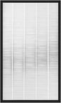 Replacement For H13 Filter ZXGP70C, Compatible For Panasonic, F-VXG70C-N by Unknown