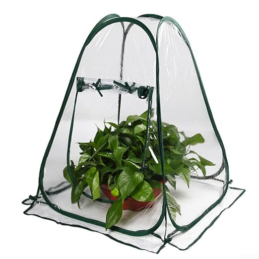 Portable Greenhouse Optimal Plant Growth - Image 2