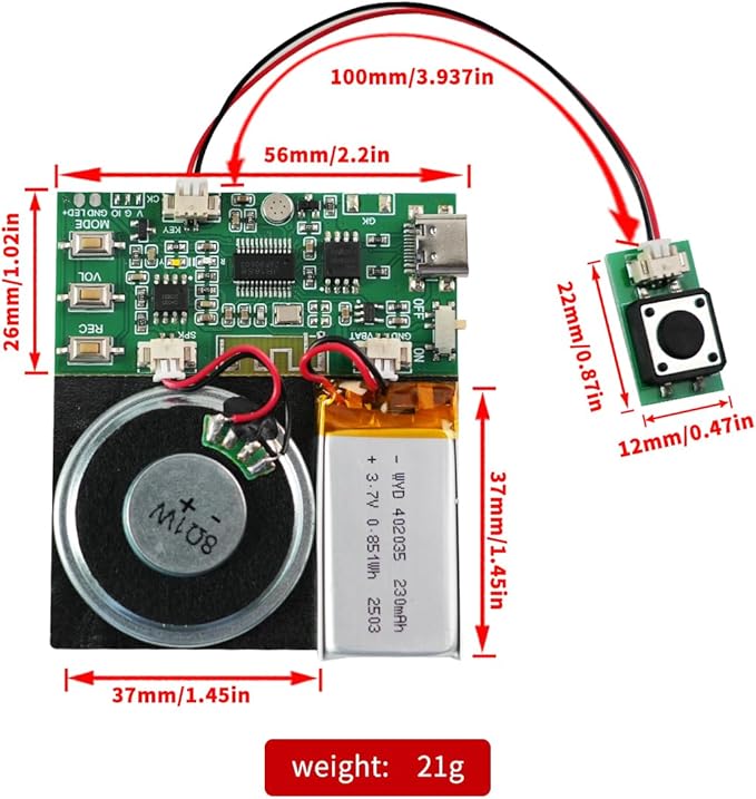 Bluetooth & MIC Recording Audio Sound Module, 8MB Voice Chips with Speaker,8 Min Easy Sound Recording Chip for Personalized Greetings, DIY Projects, Holiday Crafts ect-2P.