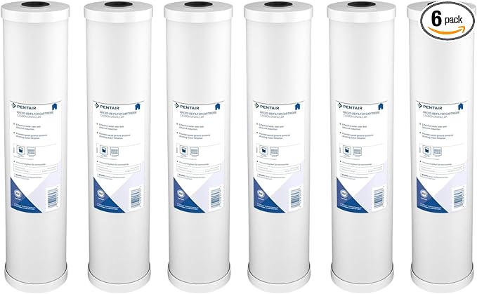Pentair Pentek RFC-20BB Big Blue Carbon Water Filter, Whole House Heavy Duty by PENTAIRPENTEK