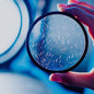 Prism Lens Filter 82mm Starlight Glare Filter Anamorphic Lens Flare Effect by KOGJAERS