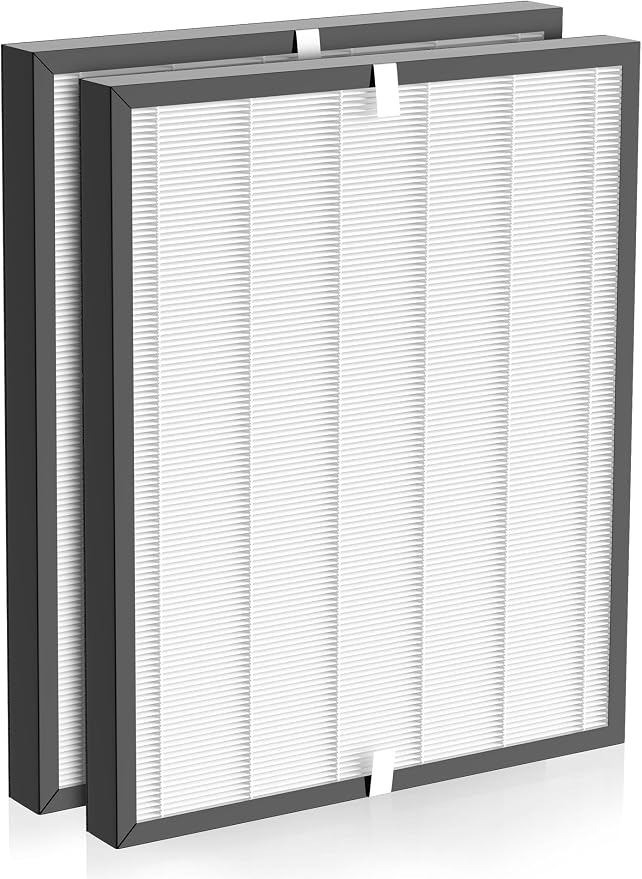 3000 Replacement Filter Compatible by PureAlis