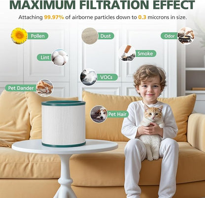 TP01 HEPA Replacement Filter Compatible - Image 11
