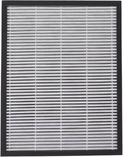 Air Purifier Filter Replacement by Mtlavishness