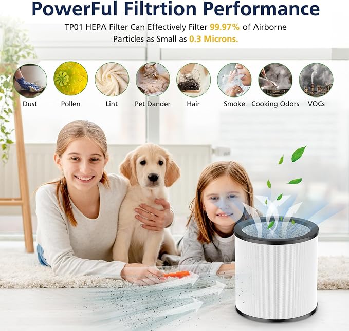 Upgraded TP01 Filter HEPA Replacement Filter Compatible - Image 6