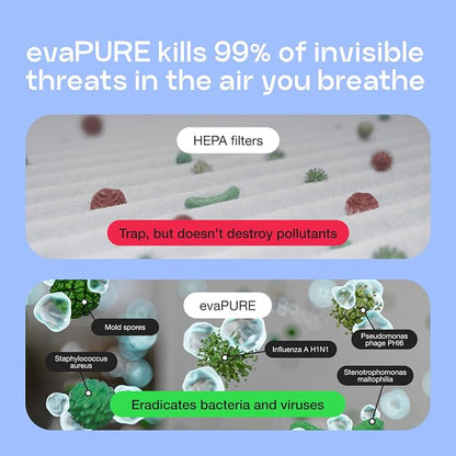 Evapolar Mini Air Purifier for Desk - Image 4