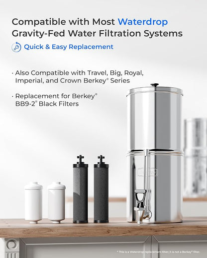 Waterdrop Black and Fluoride Water Filter, Replacement - Image 3