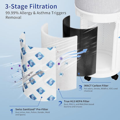 Genuine CleanForce AllerSync MaxPure H13 True HEPA Sanitized Air Filter - Image 3