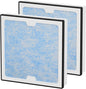 2-in-1 HEPA Activated Carbon Filter Replacement Set Compatible by Fizerneer