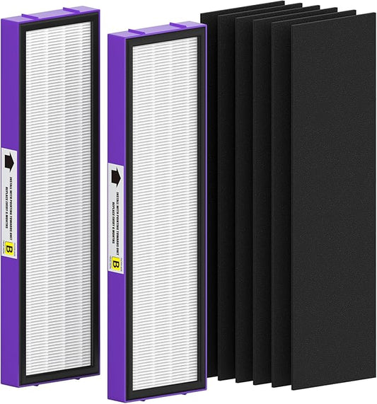 2 Pack FLT4850PT True HEPA Replacement Filter B, by FMDZFL