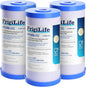 FXHTC 5 Micron 10" x 4.5" Whole House Sediment Activated Carbon Water Filter by FrigiLife