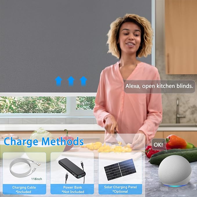 COOLWINDS Motorized Blinds with Remote Cordless Automatic Motorized Shades Custom Blinds for Windows Smart Curtains Compatible with Alexa Google Home(Blackout Thunder Grey,W52 x H72in)