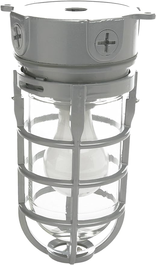 Woods L1706 Vandal Resistant Security Light With Ceiling Mount (150W Incandescent Bulb; Silver)