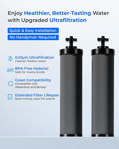 Waterdrop Black Water Filter, Replacement - Image 2