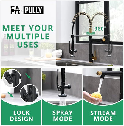 Fapully Black&Gold Kitchen Faucet - Image 4