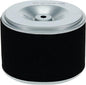 Stens Air Filter Combo 100-818 Compatible by Stens