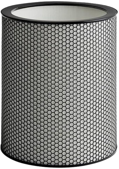 972132-01 H13 Grade Glass Big HEPA Filter Compatible by FilledwithLove
